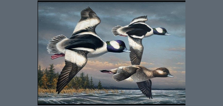 duck stamp