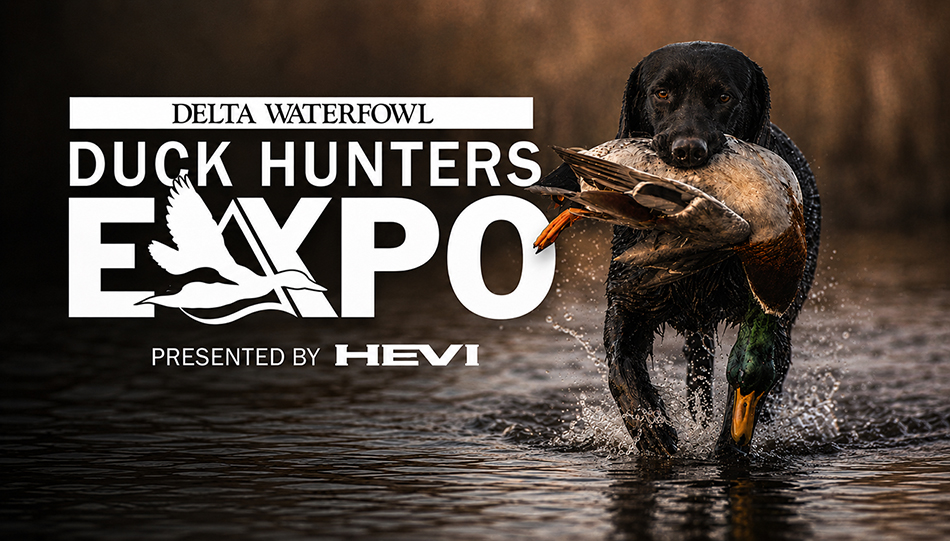 black lab with mallard and white Duck Hunters Expo logo