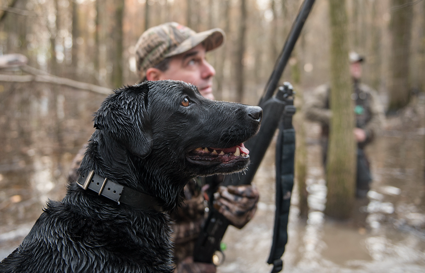 Hunter and duck dog together