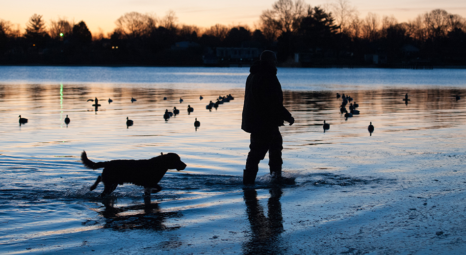 Hunter and dog in water at sunset with decoy spread