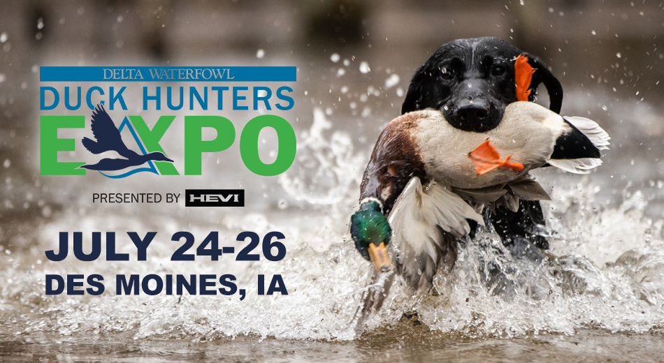 Duck Hunters Expo logo with black lab and mallard - July 24-26 in Des Moines, IA