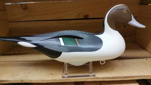 Joey Jobes Pintail Drake